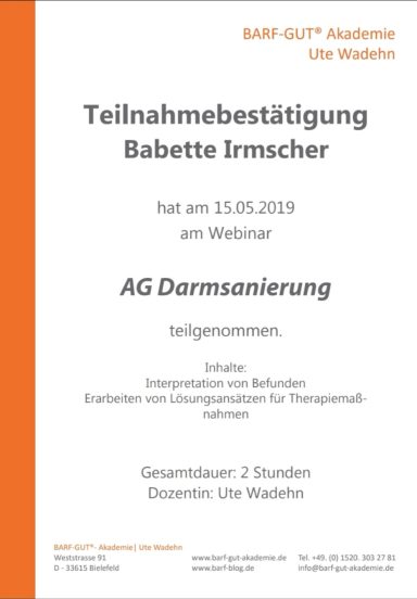Darmsanierung